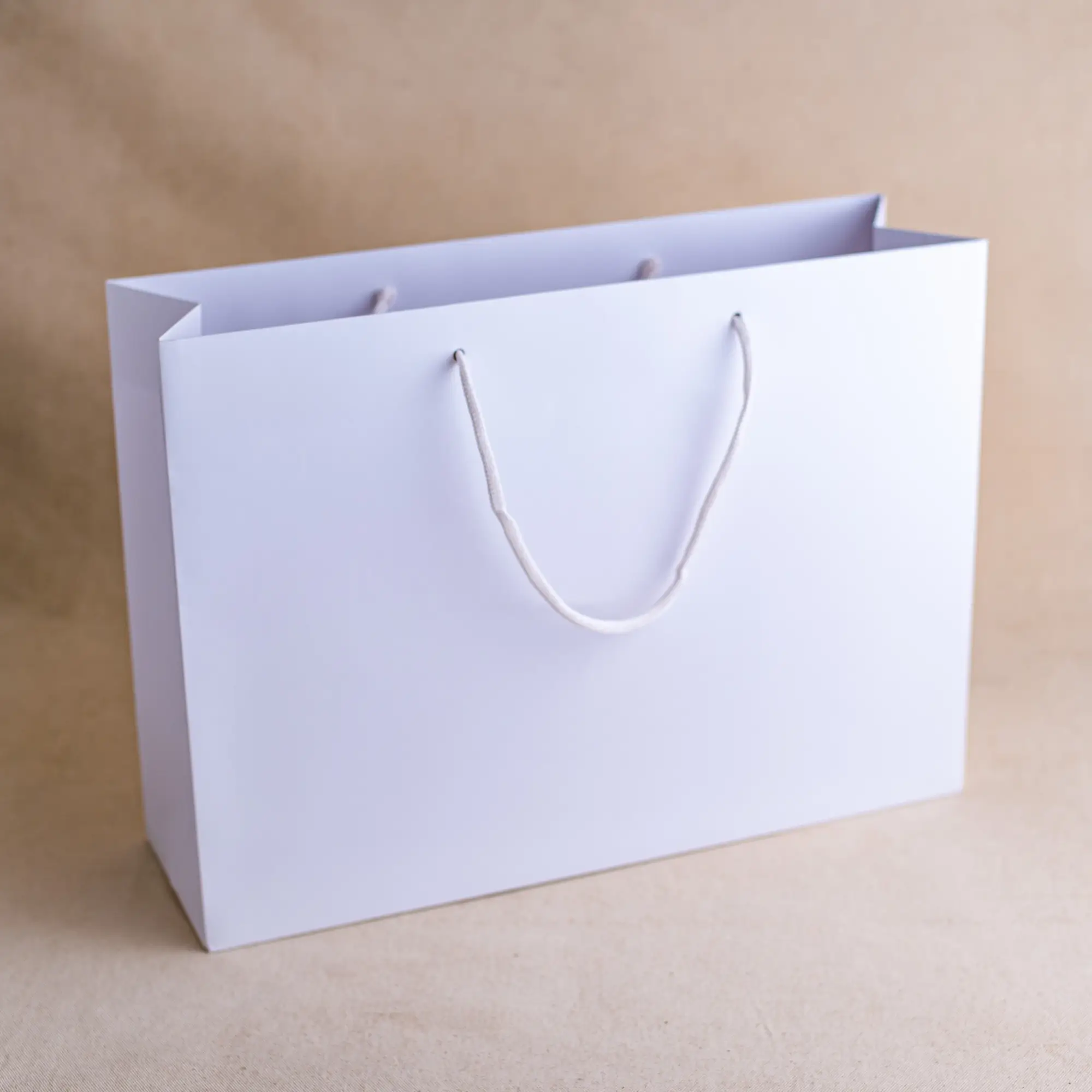 Show details for FSC® Luxury Rope Handle White Kraft Paper Bags - Plain