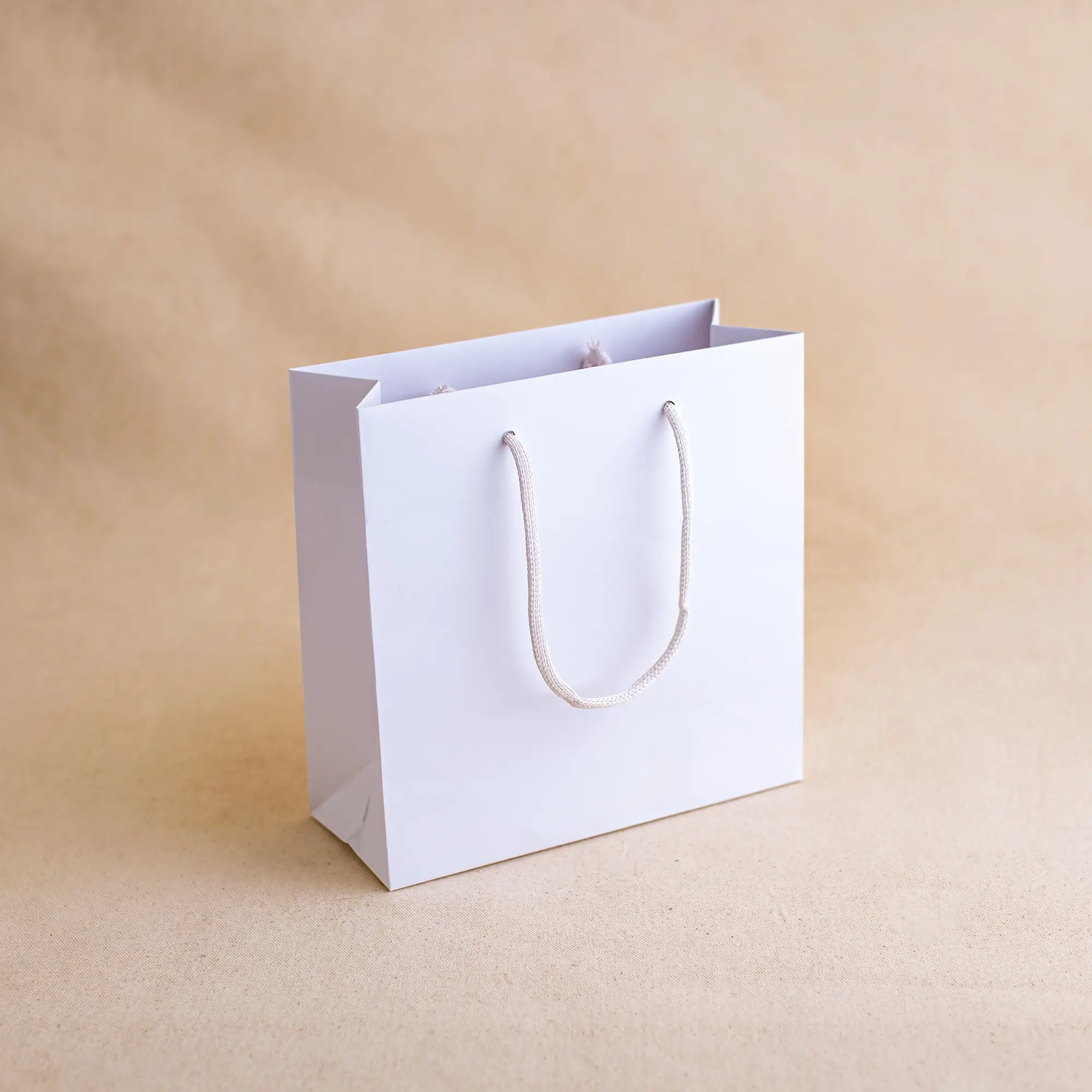 Show details for FSC® Luxury Rope Handle White Kraft Paper Bags - Plain